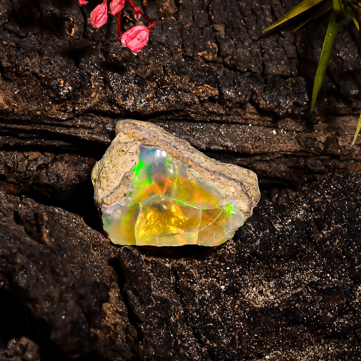 Dazzling Top Grade Quality 100% Natural Welo Fire Ethiopian Opal Fancy Rough Loose Gemstone For Making Jewelry 16X13X7 MM 5.55 Cts. KR15-81 Sunkarton