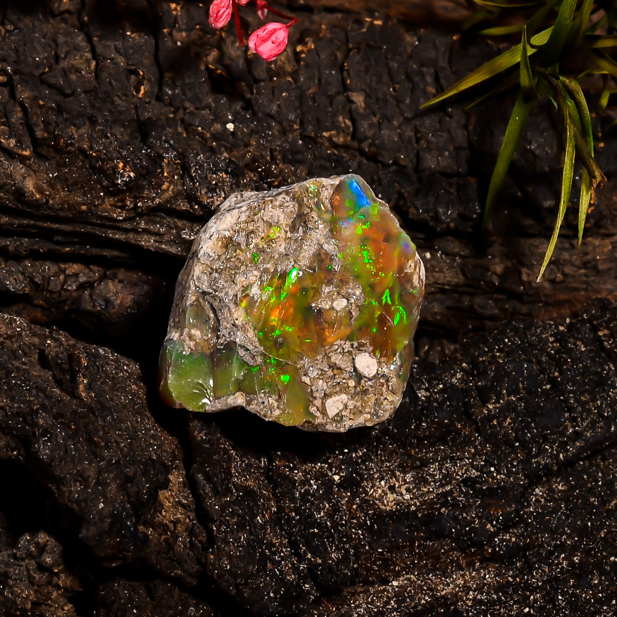 Exclusive Top Grade Quality 100% Natural Welo Fire Ethiopian Opal Rough Loose Gemstone For Making Jewelry 20X17X12 MM 17.4 Cts. KR15-83 Sunkarton