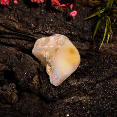 Immaculate Top Grade Quality 100% Natural Welo Fire Ethiopian Opal Rough Loose Gemstone For Making Jewelry 21X16X13 MM 16.55 Cts. KR15-88 Sunkarton