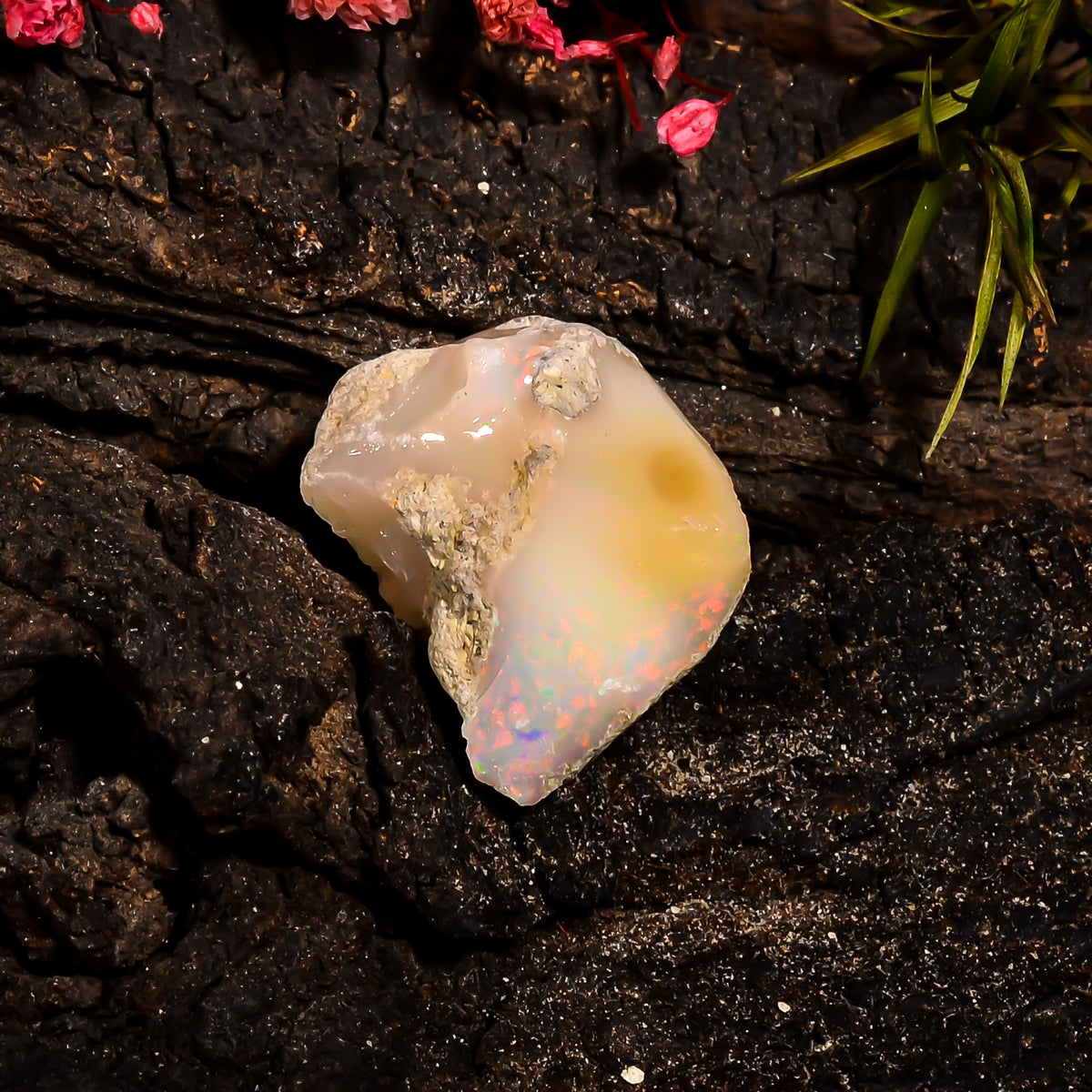 Immaculate Top Grade Quality 100% Natural Welo Fire Ethiopian Opal Rough Loose Gemstone For Making Jewelry 21X16X13 MM 16.55 Cts. KR15-88 Sunkarton