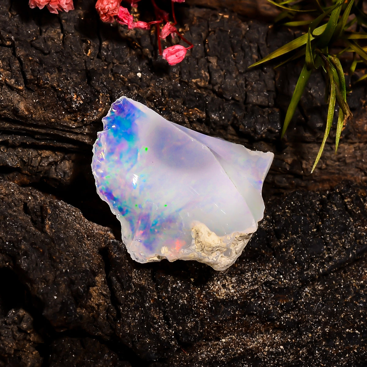 Outstanding Top Grade Quality 100% Natural Welo Fire Ethiopian Opal Rough Loose Gemstone For Making Jewelry 23X21X8 MM 13.3 Cts. KR15-92 Sunkarton