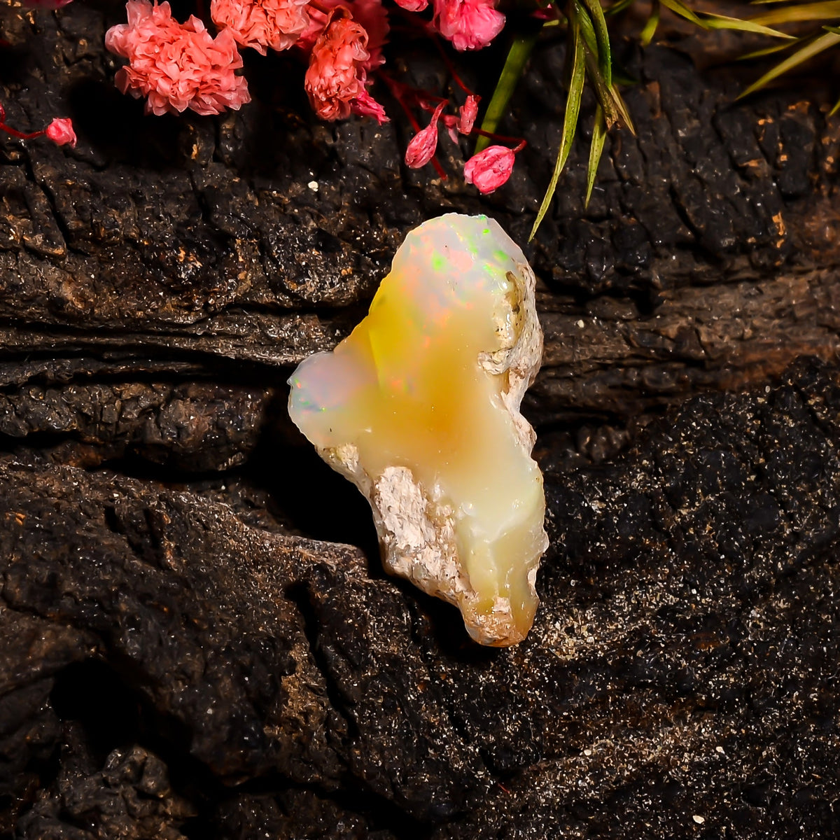 Tempting Top Grade Quality 100% Natural Welo Fire Ethiopian Opal Rough Loose Gemstone For Making Jewelry 23X10X11 MM 10.25 Cts. KR15-97 Sunkarton