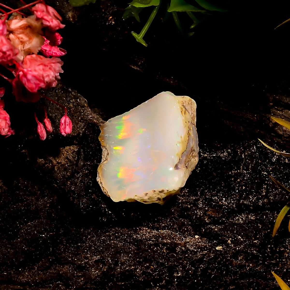 Terrific Top Grade Quality 100% Natural Welo Fire Ethiopian Opal Rough Loose Gemstone For Making Jewelry 16X14X7 MM 8 Cts. KR16-23 Sunkarton