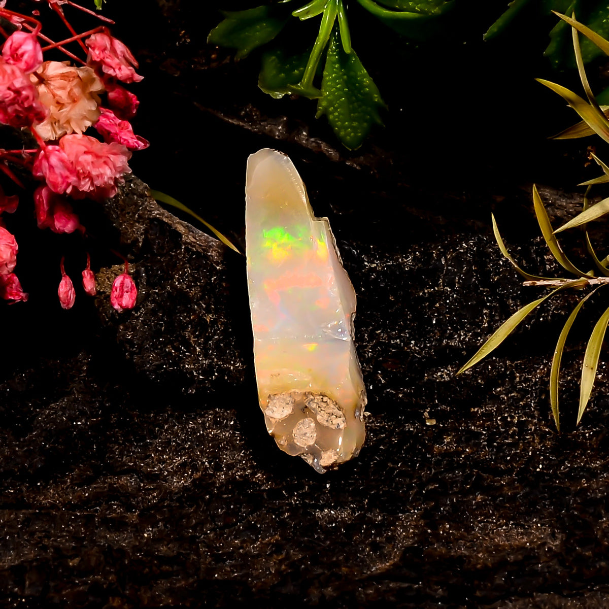 Dazzling Top Grade Quality 100% Natural Welo Fire Ethiopian Opal Rough Loose Gemstone For Making Jewelry 27X10X9 MM 7.5 Cts. KR16-31 Sunkarton