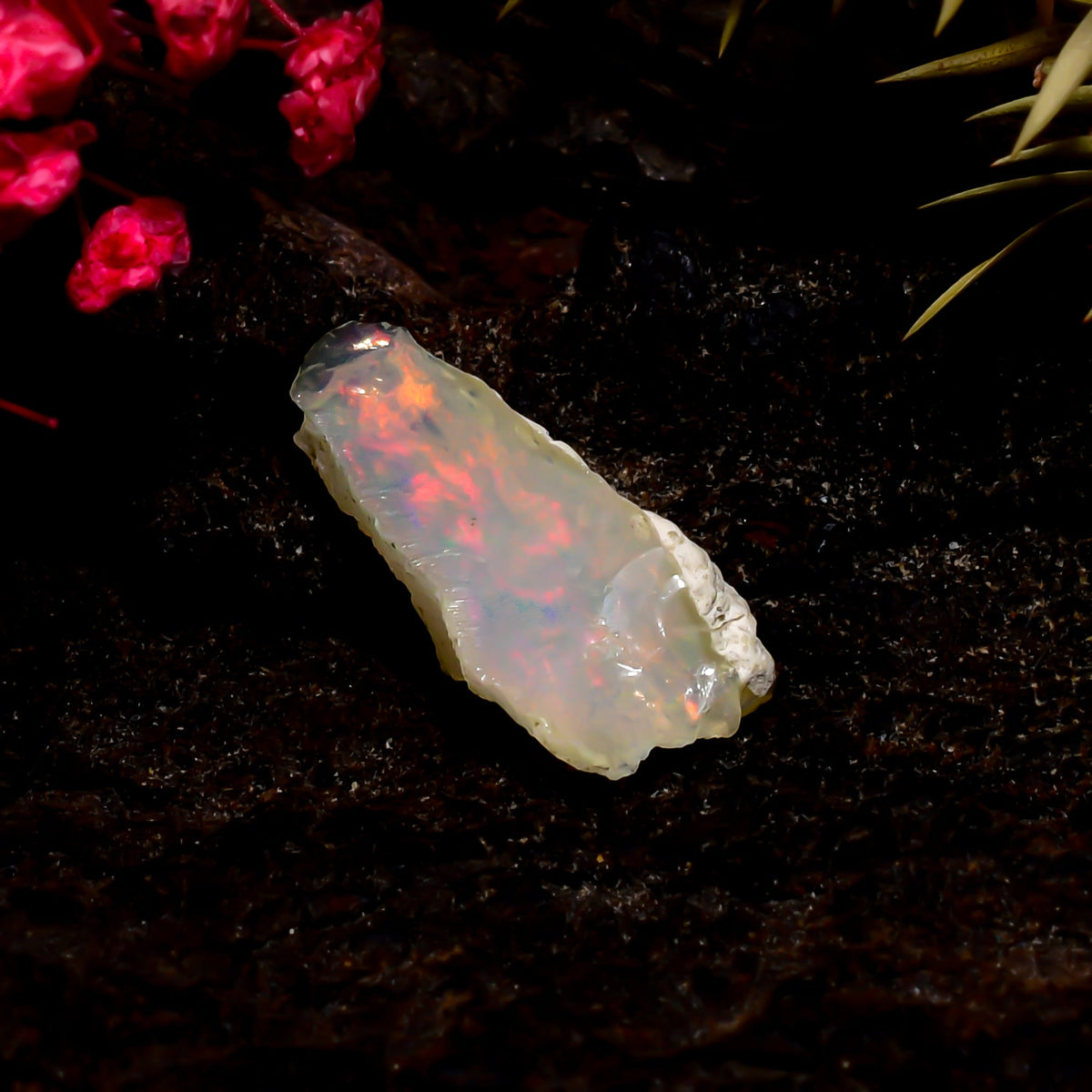Fantastic Top Grade Quality 100% Natural Welo Fire Ethiopian Opal Rough Loose Gemstone For Making Jewelry 18X8X7 MM 3.5 Cts. KR16-86 Sunkarton