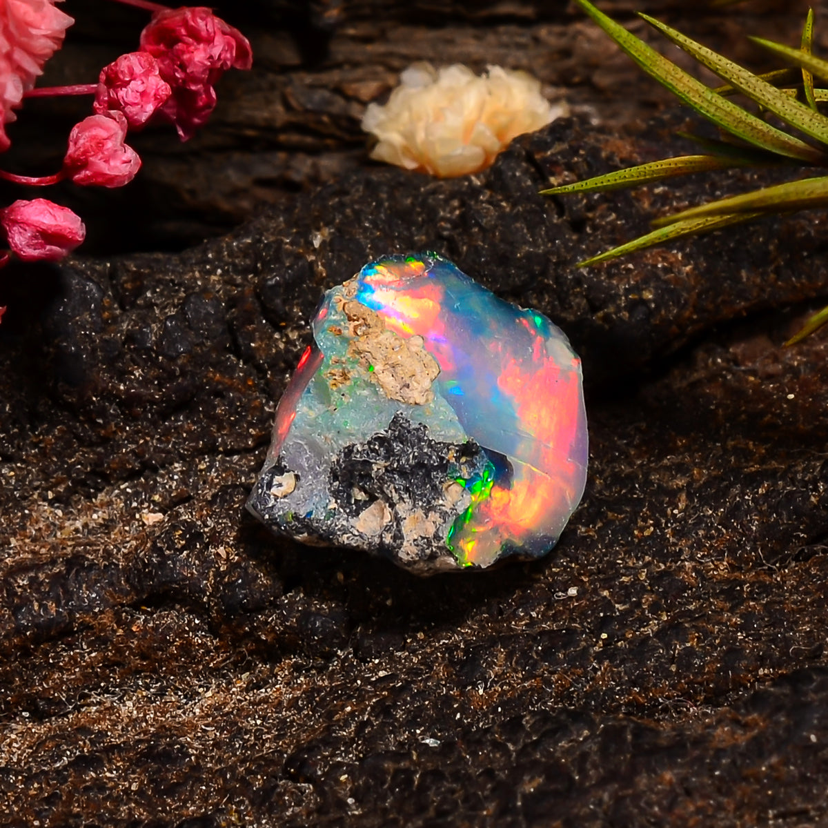 Wonderful Top Grade Quality 100% Natural Welo Fire Ethiopian Opal Rough Loose Gemstone For Making Jewelry 11X10X5 MM 02.00 Cts. KR24-100 Sunkarton