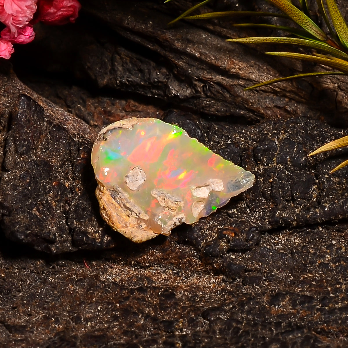 Gorgeous Top Grade Quality 100% Natural Welo Fire Ethiopian Opal Fancy Rough Loose Gemstone For Making Jewelry 14X11X6 MM 03.00 Cts. KR24-12 Sunkarton