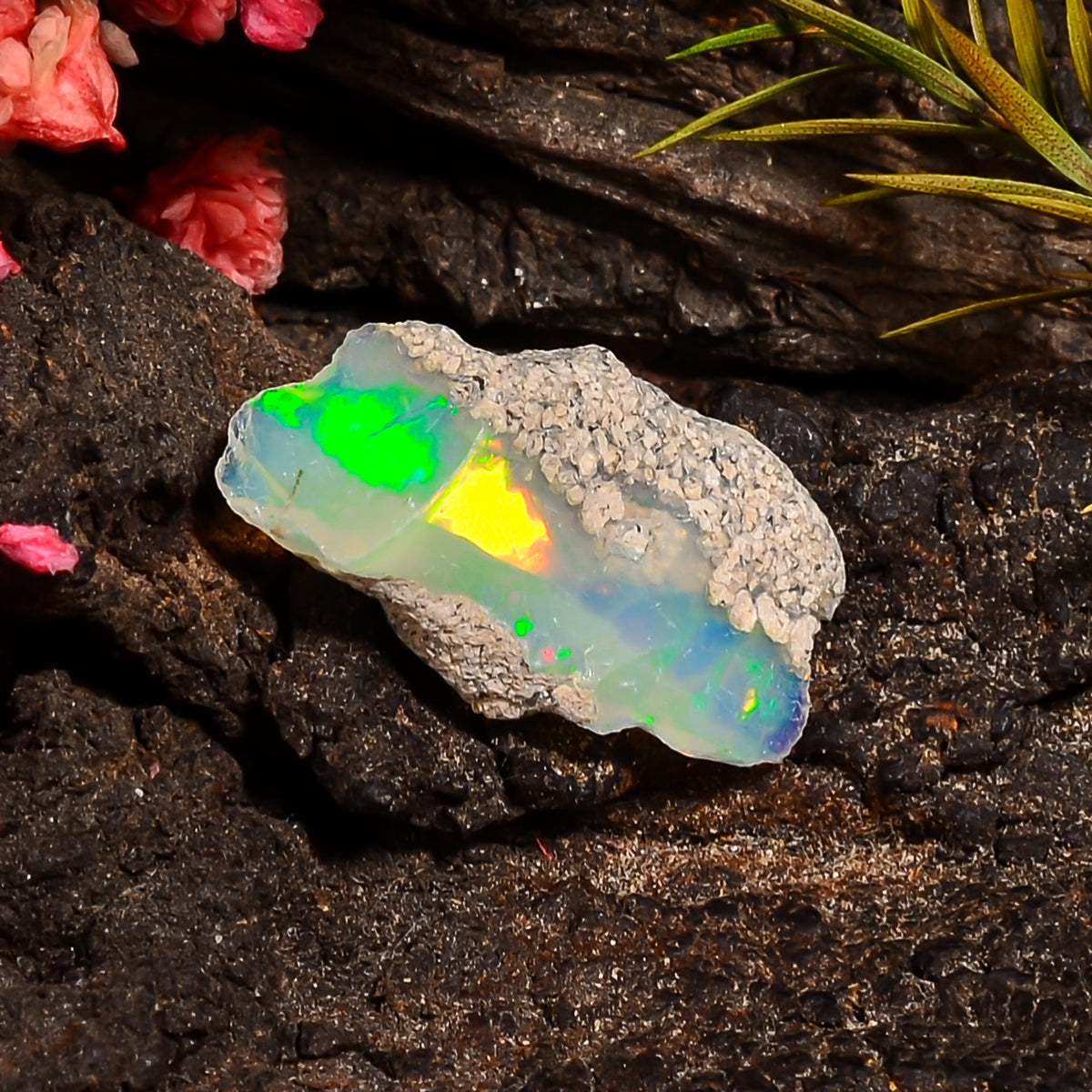 Terrific Top Grade Quality 100% Natural Welo Fire Ethiopian Opal Fancy Rough Loose Gemstone For Making Jewelry 21X12X6 MM 04.50 Cts. KR24-23 Sunkarton