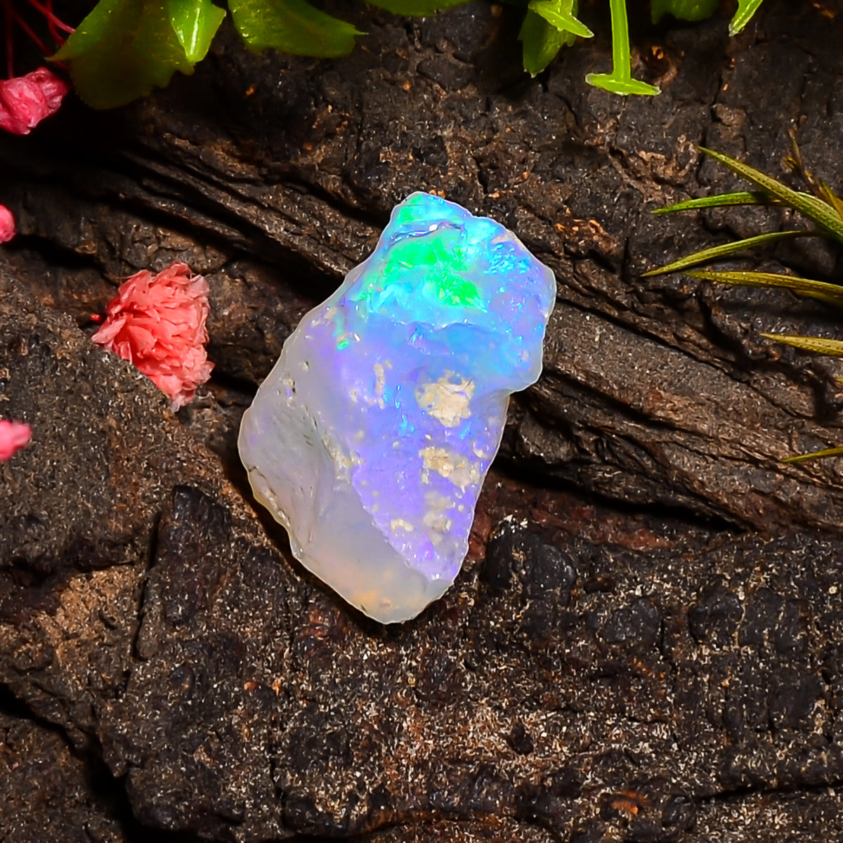 Unique Top Grade Quality 100% Natural Welo Fire Ethiopian Opal Fancy Rough Loose Gemstone For Making Jewelry 19X17X10 MM 09.00 Cts. KR24-24 Sunkarton