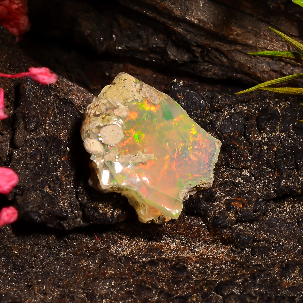 Amazing Top Grade Quality 100% Natural Welo Fire Ethiopian Opal Fancy Rough Loose Gemstone For Making Jewelry 13X11X5 MM 03.00 Cts. KR24-26 Sunkarton