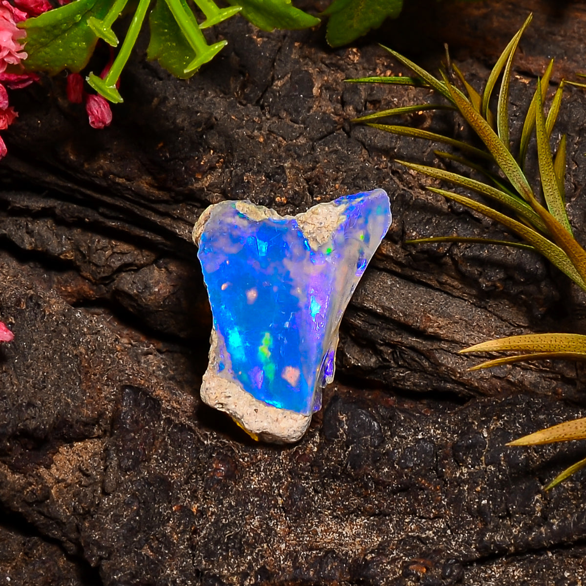 Attractive Top Grade Quality 100% Natural Welo Fire Ethiopian Opal Rough Loose Gemstone For Making Jewelry 18X12X7 MM 05.50 Cts. KR24-2 Sunkarton