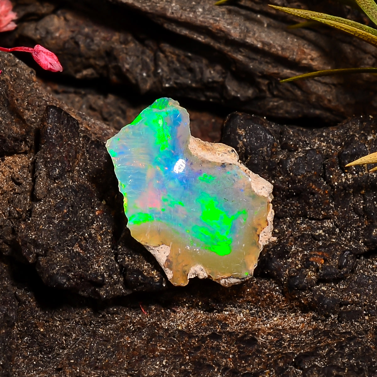 Fantastic Top Grade Quality 100% Natural Welo Fire Ethiopian Opal Rough Loose Gemstone For Making Jewelry 14X10X6 MM 02.50 Cts. KR24-36 Sunkarton