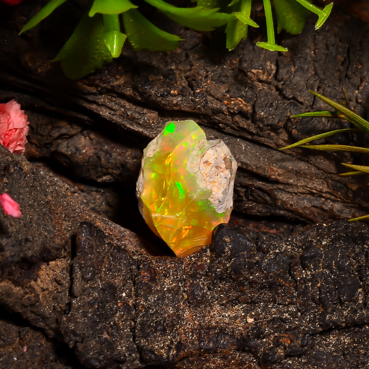 Immaculate Top Grade Quality 100% Natural Welo Fire Ethiopian Opal Rough Loose Gemstone For Making Jewelry 14X9X9 MM 04.00 Cts. KR24-38 Sunkarton