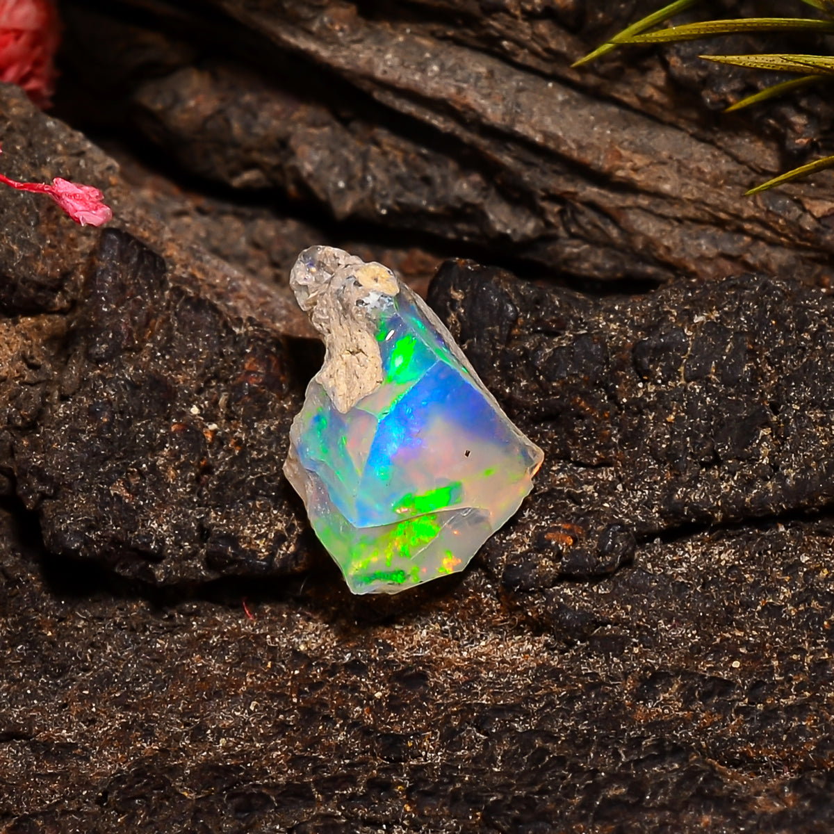 Terrific Top Grade Quality 100% Natural Welo Fire Ethiopian Opal Fancy Rough Loose Gemstone For Making Jewelry 14X10X8 MM 03.50 Cts. KR24-48 Sunkarton