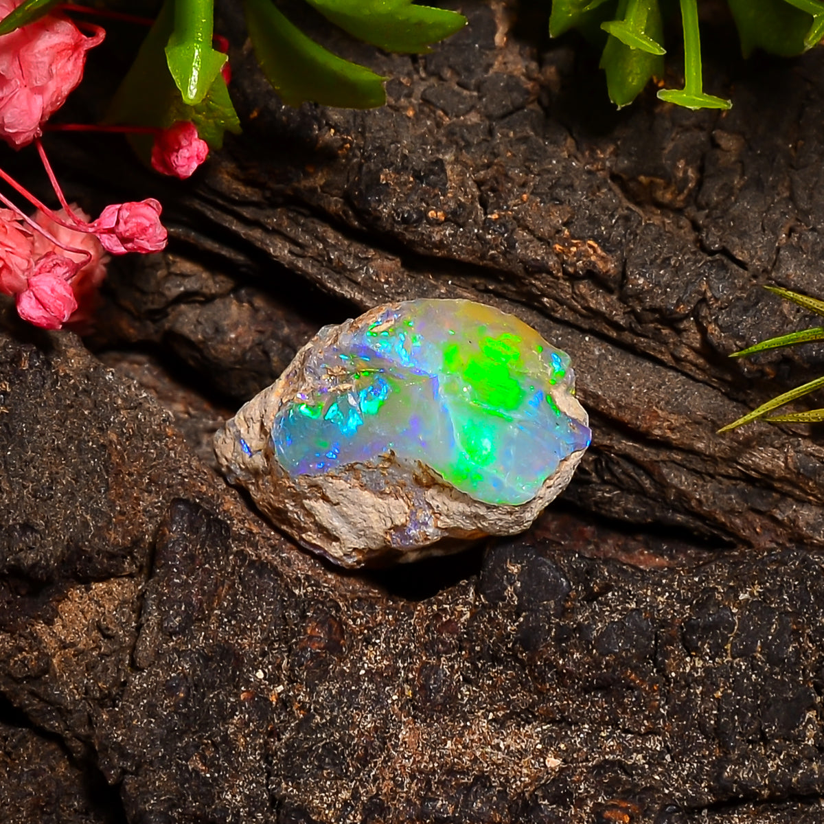 Exclusive Top Grade Quality 100% Natural Welo Fire Ethiopian Opal Rough Loose Gemstone For Making Jewelry 14X13X10 MM 08.00 Cts. KR24-58 Sunkarton