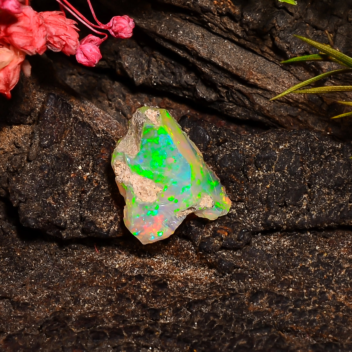 Fabulous Top Grade Quality 100% Natural Welo Fire Ethiopian Opal Fancy Rough Loose Gemstone For Making Jewelry 13X11X7 MM 03.00 Cts. KR24-60 Sunkarton
