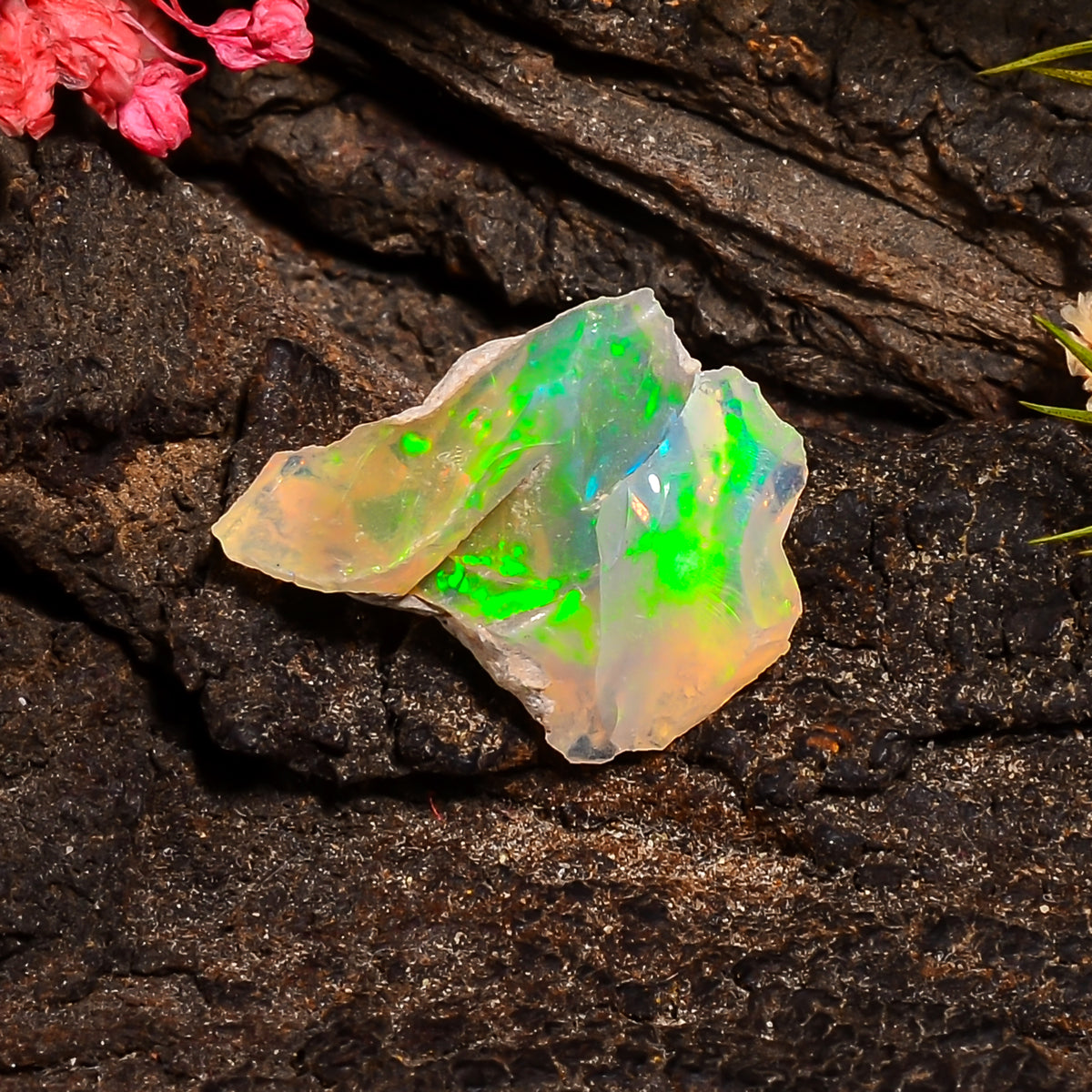 Immaculate Top Grade Quality 100% Natural Welo Fire Ethiopian Opal Rough Loose Gemstone For Making Jewelry 19X14X6 MM 05.00 Cts. KR24-63 Sunkarton