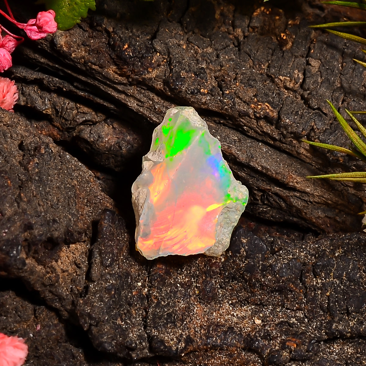 Mind Blowing Top Grade Quality 100% Natural Welo Fire Ethiopian Opal Rough Loose Gemstone For Making Jewelry 17X11X9 MM 05.50 Cts. KR24-66 Sunkarton