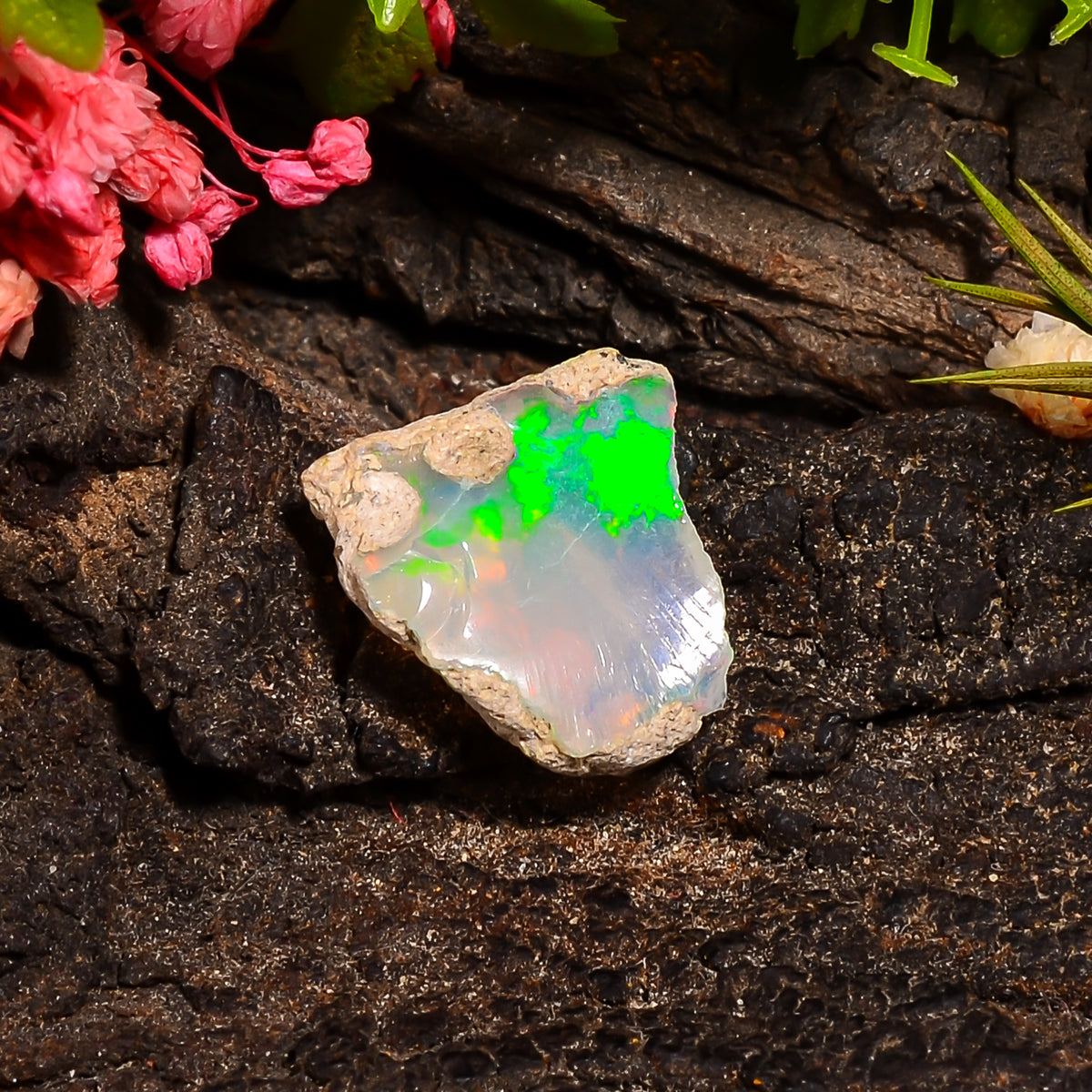 Superb Top Grade Quality 100% Natural Welo Fire Ethiopian Opal Fancy Rough Loose Gemstone For Making Jewelry 14X13X8 MM 04.00 Cts. KR24-69 Sunkarton