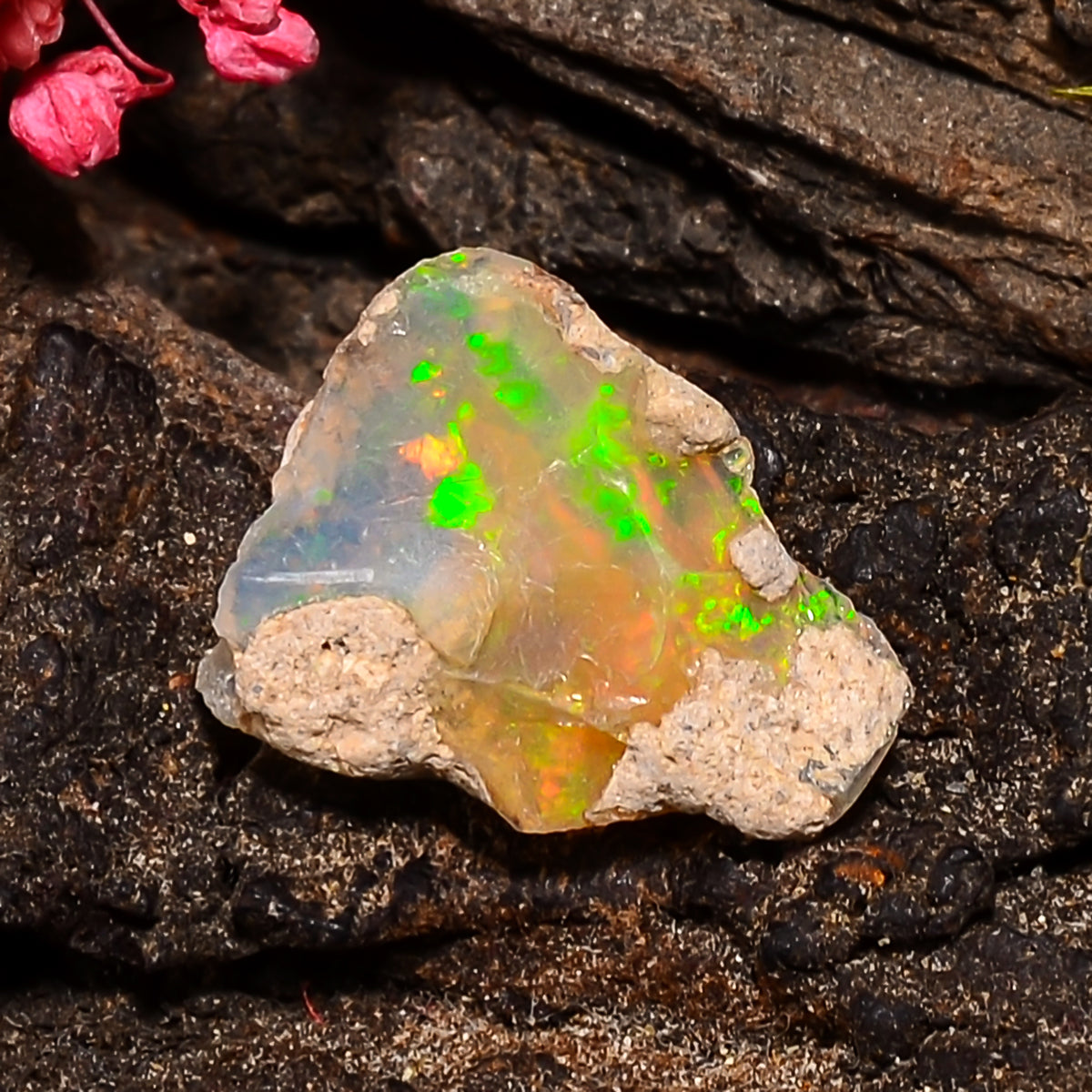 Amazing Top Grade Quality 100% Natural Welo Fire Ethiopian Opal Fancy Rough Loose Gemstone For Making Jewelry 15X12X6 MM 03.50 Cts. KR24-76 Sunkarton