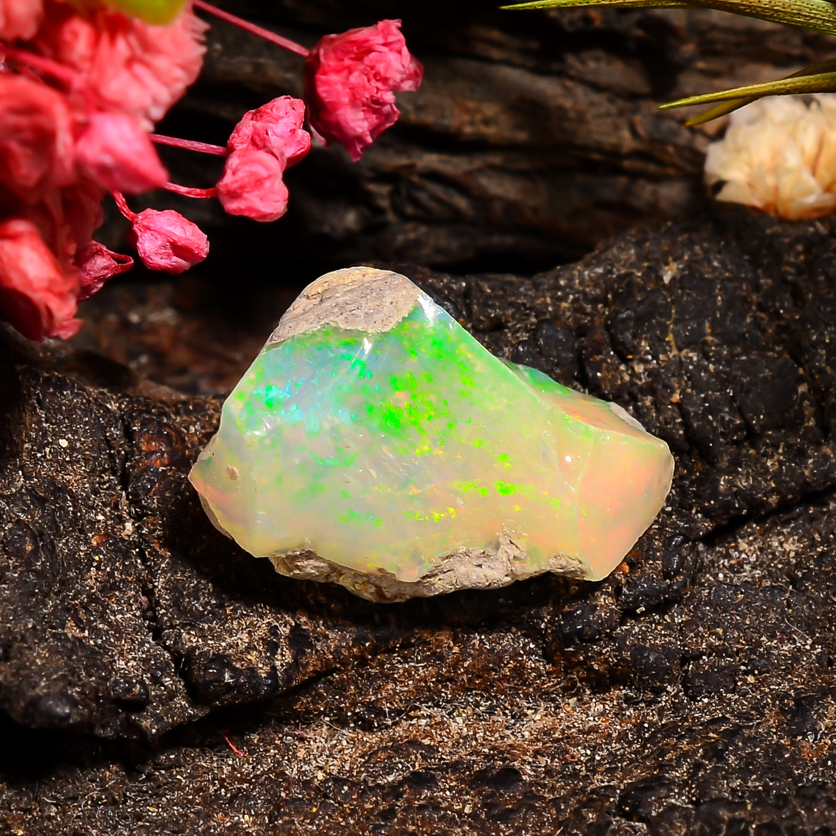 Classic Top Grade Quality 100% Natural Welo Fire Ethiopian Opal Fancy Rough Loose Gemstone For Making Jewelry 15X10X7 MM 04.00 Cts. KR24-80 Sunkarton