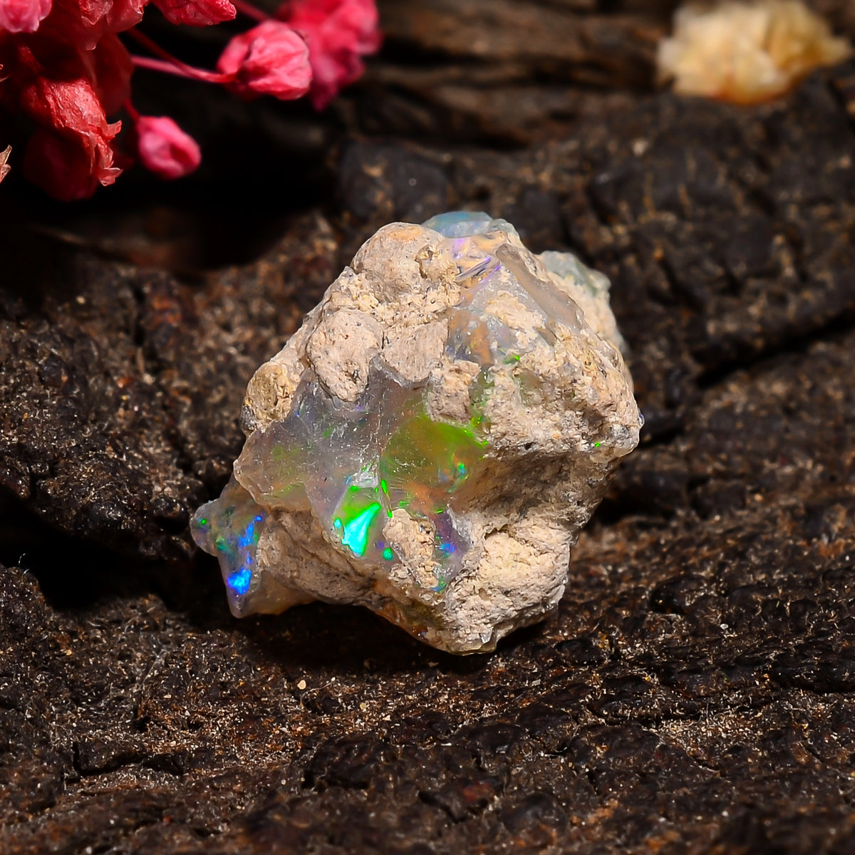 Dazzling Top Grade Quality 100% Natural Welo Fire Ethiopian Opal Rough Loose Gemstone For Making Jewelry 16X11X10 MM 05.50 Cts. KR24-81 Sunkarton