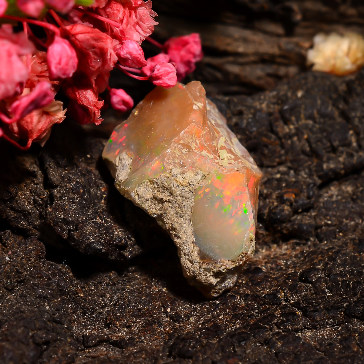 Excellent Top Grade Quality 100% Natural Welo Fire Ethiopian Opal Rough Loose Gemstone For Making Jewelry 19X13X10 MM 07.00 Cts. KR24-82 Sunkarton