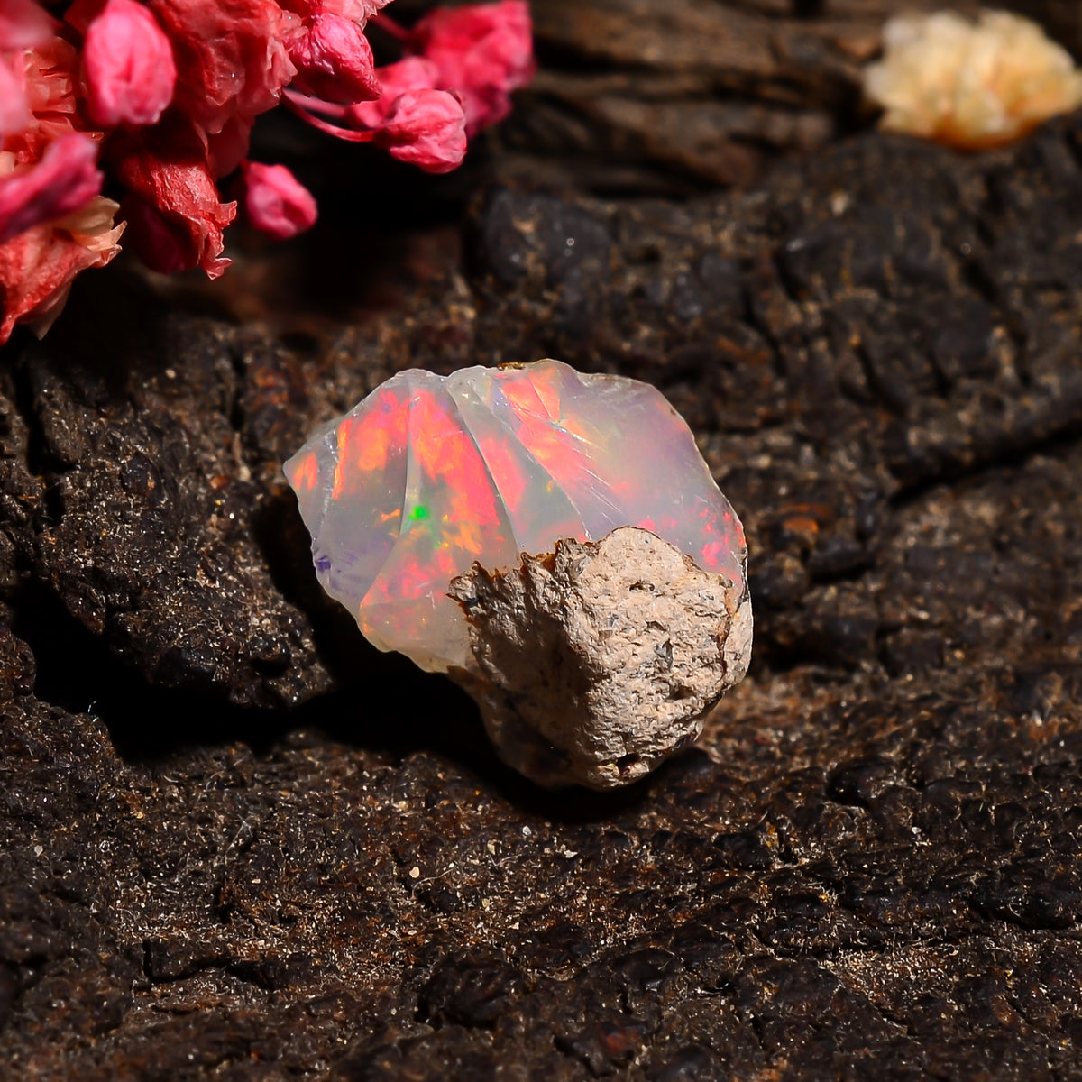 Fabulous Top Grade Quality 100% Natural Welo Fire Ethiopian Opal Fancy Rough Loose Gemstone For Making Jewelry 13X10X9 MM 04.00 Cts. KR24-85 Sunkarton