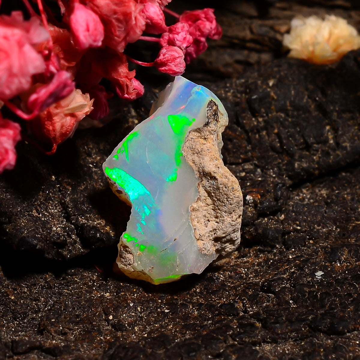 Marvellous Top Grade Quality 100% Natural Welo Fire Ethiopian Opal Rough Loose Gemstone For Making Jewelry 15X10X8 MM 03.50 Cts. KR24-90 Sunkarton