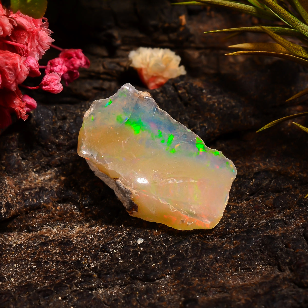 Supreme Top Grade Quality 100% Natural Welo Fire Ethiopian Opal Fancy Rough Loose Gemstone For Making Jewelry 18X11X7 MM 05.50 Cts. KR24-96 Sunkarton
