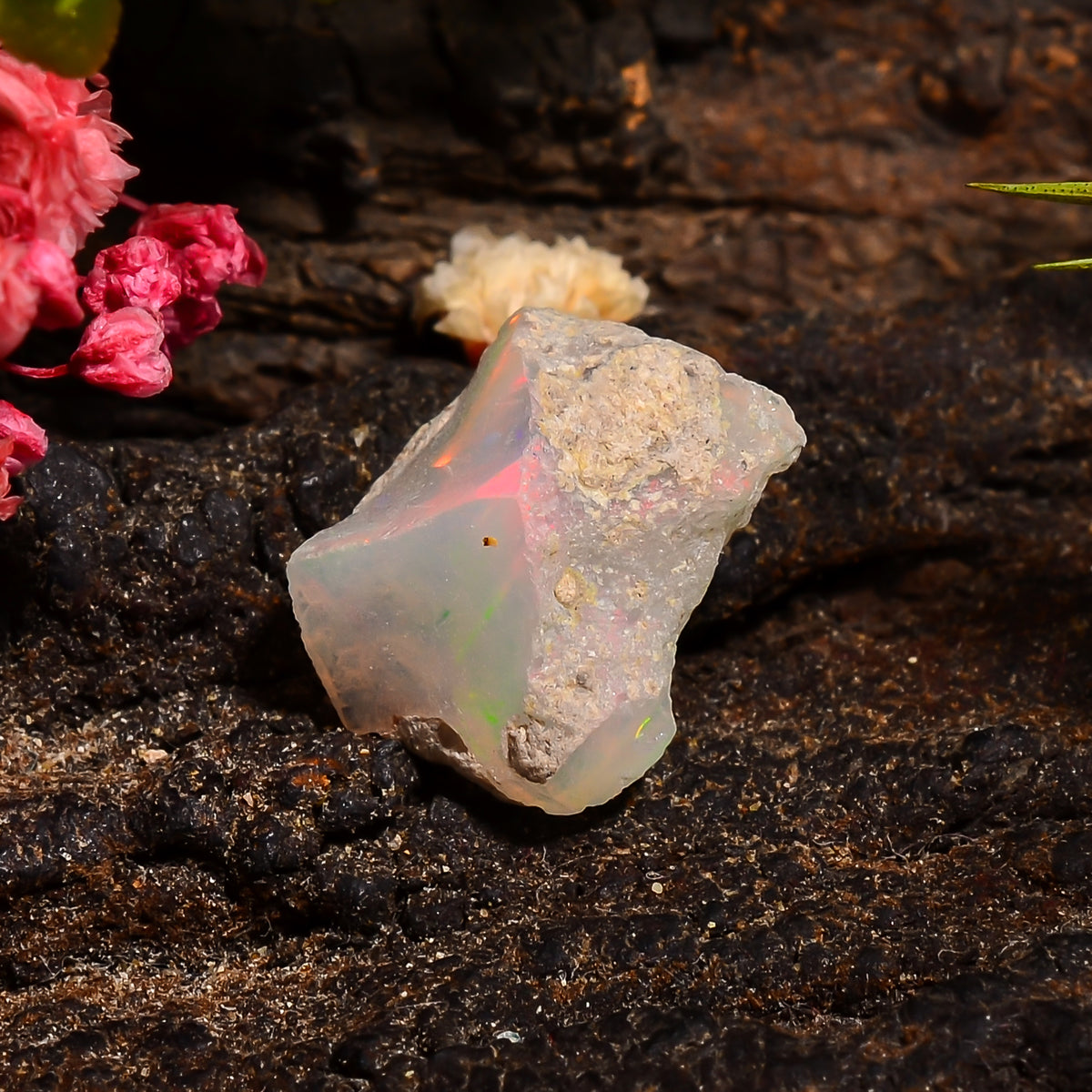 Terrific Top Grade Quality 100% Natural Welo Fire Ethiopian Opal Fancy Rough Loose Gemstone For Making Jewelry 13X10X8 MM 03.00 Cts. KR24-98 Sunkarton