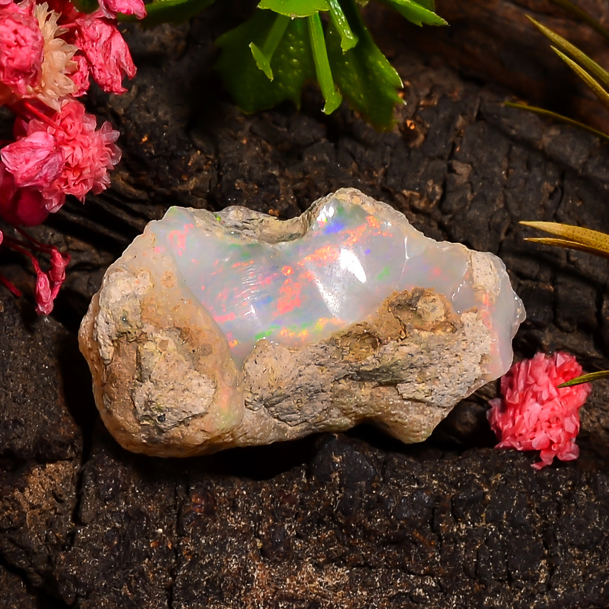 Gorgeous Top Grade Quality 100% Natural Welo Fire Ethiopian Opal Fancy Rough Loose Gemstone For Making Jewelry 27X16X9 MM 14.50 Cts. KR25-12 Sunkarton