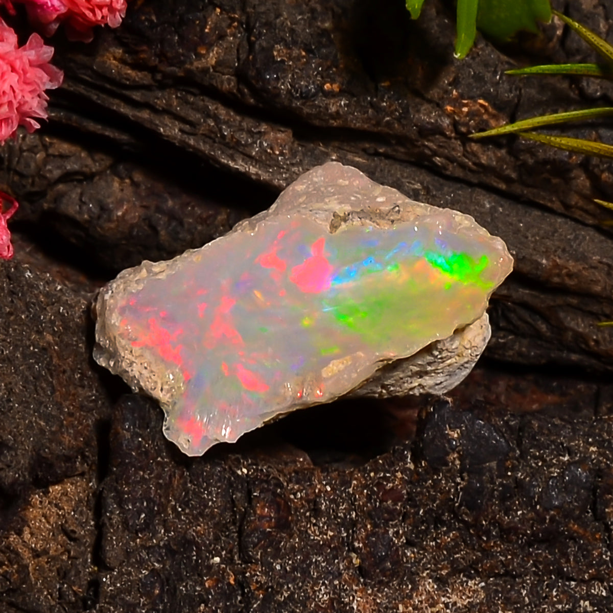 Marvellous Top Grade Quality 100% Natural Welo Fire Ethiopian Opal Rough Loose Gemstone For Making Jewelry 19X11X9 MM 05.50 Cts. KR25-15 Sunkarton