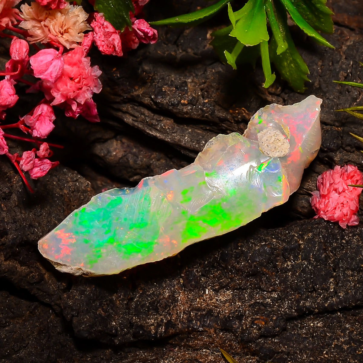 Stunning Top Grade Quality 100% Natural Welo Fire Ethiopian Opal Fancy Rough Loose Gemstone For Making Jewelry 35X10X7 MM 07.50 Cts. KR25-20 Sunkarton