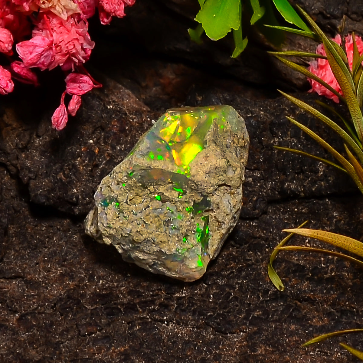 Attractive Top Grade Quality 100% Natural Welo Fire Ethiopian Opal Rough Loose Gemstone For Making Jewelry 18X15X13 MM 12.00 Cts. KR25-27 Sunkarton