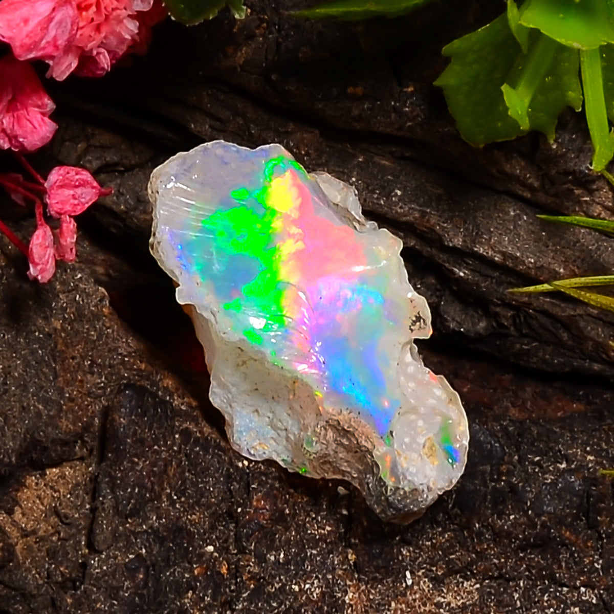 Fabulous Top Grade Quality 100% Natural Welo Fire Ethiopian Opal Fancy Rough Loose Gemstone For Making Jewelry 19X12X9 MM 07.00 Cts. KR25-35 Sunkarton