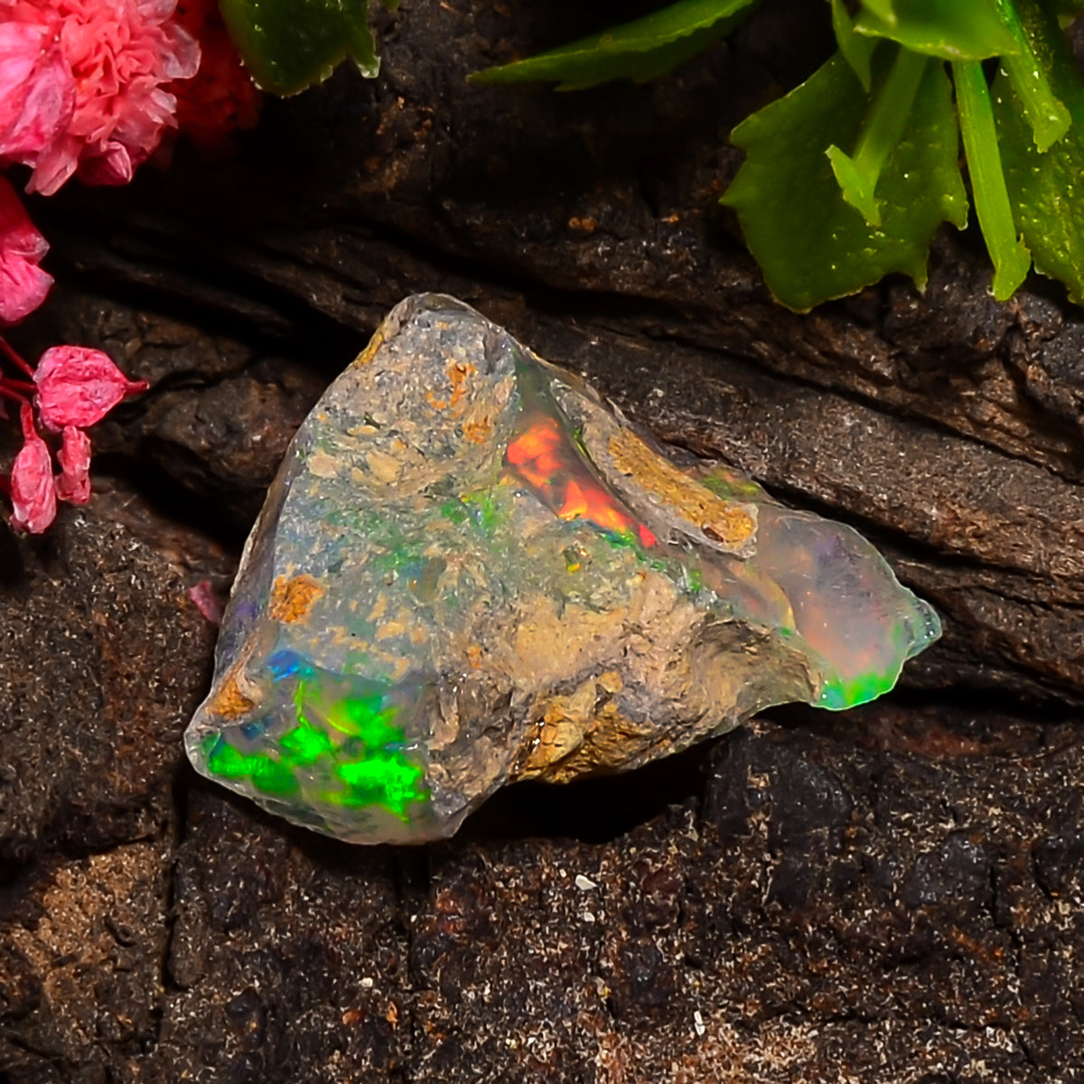 Fantastic Top Grade Quality 100% Natural Welo Fire Ethiopian Opal Rough Loose Gemstone For Making Jewelry 18X16X8 MM 08.00 Cts. KR25-36 Sunkarton