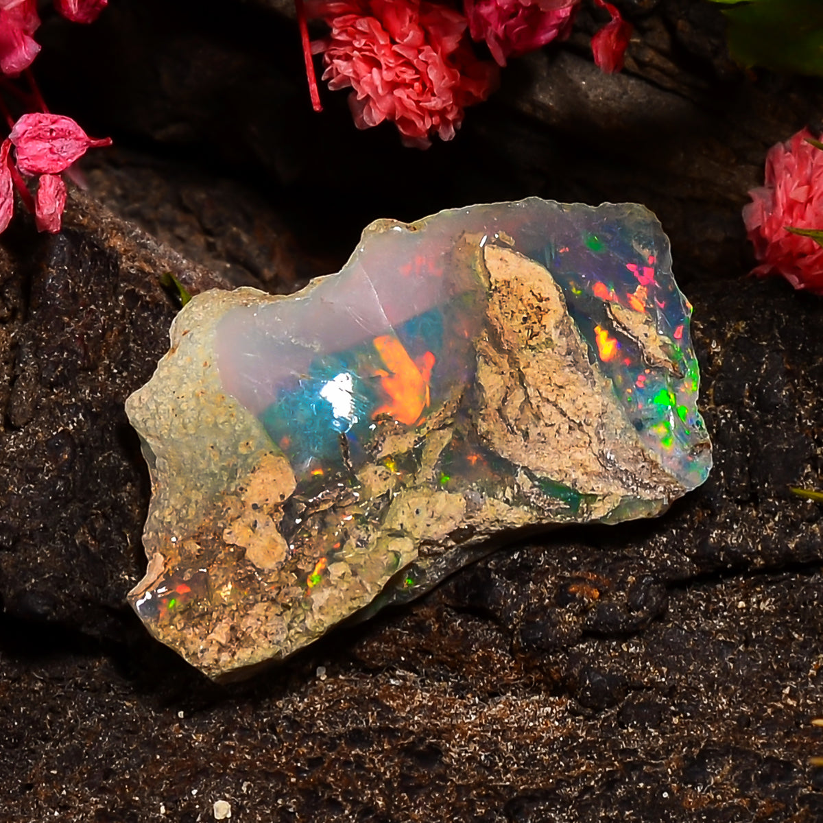 Splendid Top Grade Quality 100% Natural Welo Fire Ethiopian Opal Fancy Rough Loose Gemstone For Making Jewelry 22X13X4 MM 05.00 Cts. KR25-43 Sunkarton