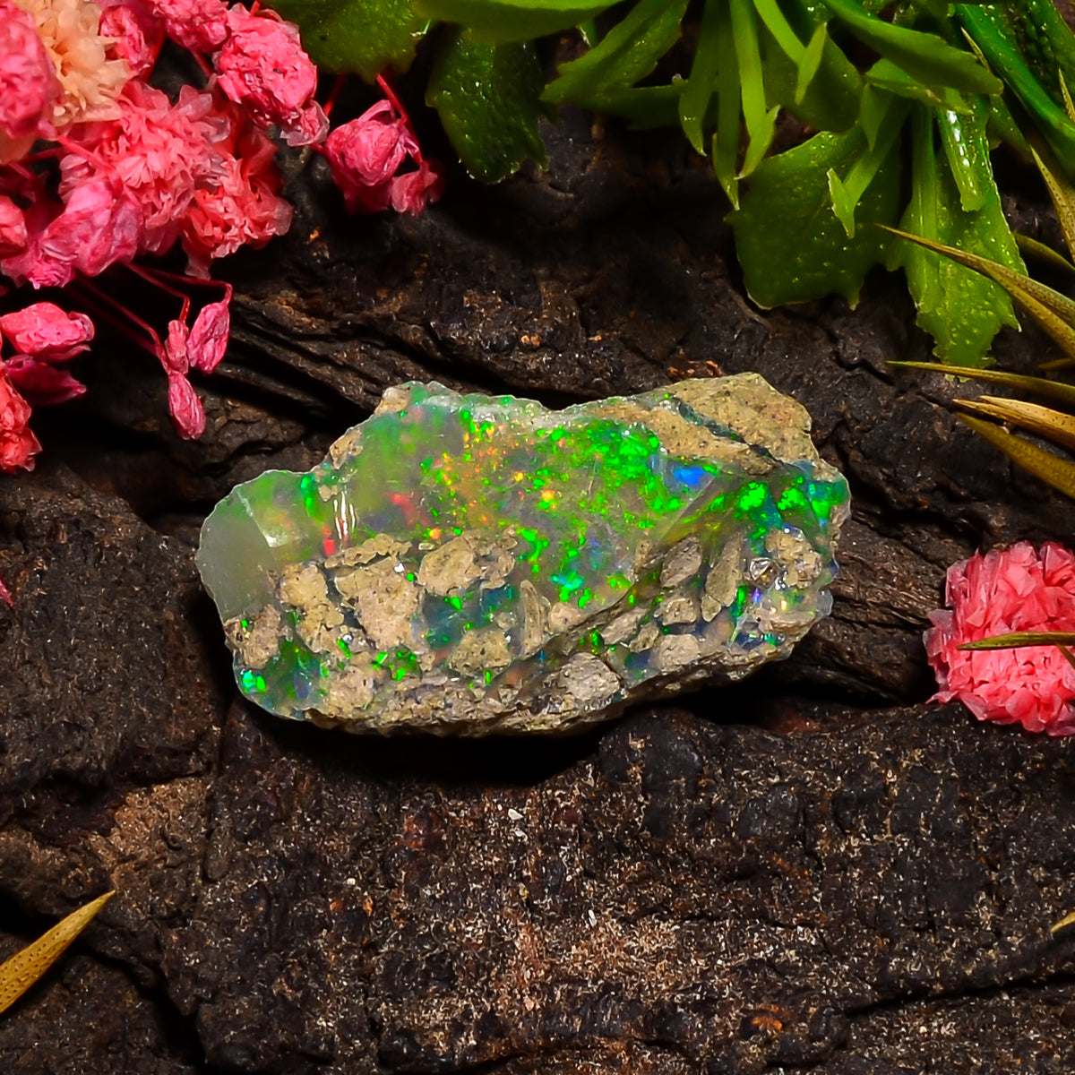 Terrific Top Grade Quality 100% Natural Welo Fire Ethiopian Opal Rough Loose Gemstone For Making Jewelry 24X14X13 MM 14.00 Cts. KR25-48 Sunkarton