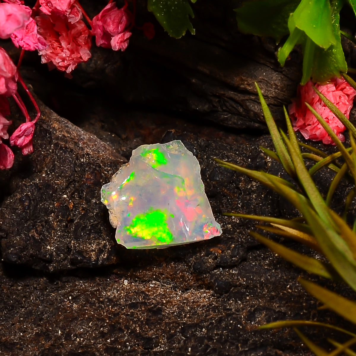 Beautiful Top Grade Quality 100% Natural Welo Fire Ethiopian Opal Rough Loose Gemstone For Making Jewelry 12X10X6 MM 02.50 Cts. KR25-54 Sunkarton