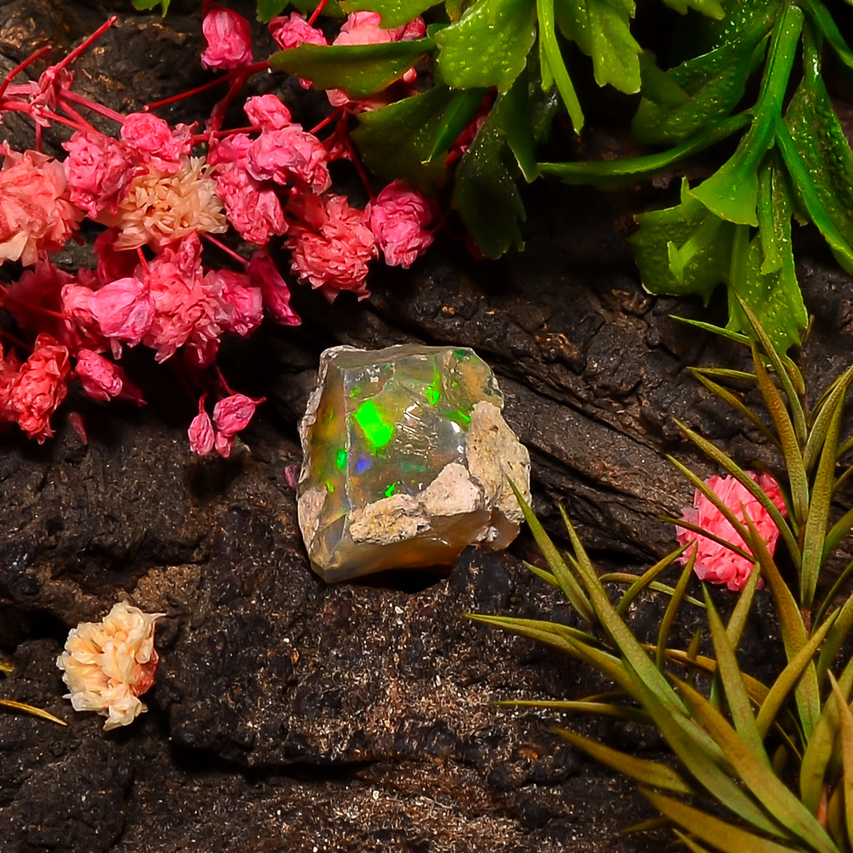 Excellent Top Grade Quality 100% Natural Welo Fire Ethiopian Opal Rough Loose Gemstone For Making Jewelry 15X13X12 MM 08.00 Cts. KR25-57 Sunkarton