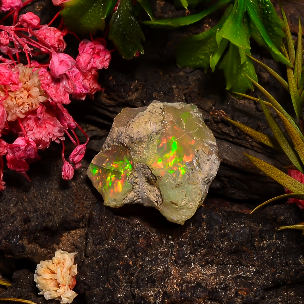 Exclusive Top Grade Quality 100% Natural Welo Fire Ethiopian Opal Rough Loose Gemstone For Making Jewelry 17X17X12 MM 12.50 Cts. KR25-58 Sunkarton