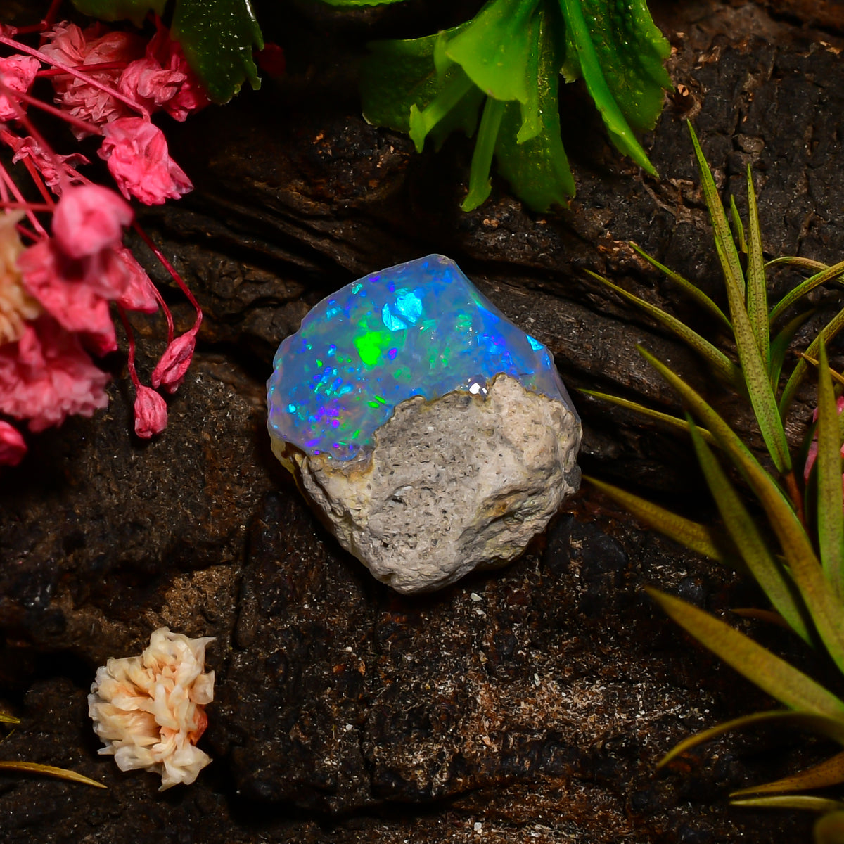 Elegant Top Grade Quality 100% Natural Welo Fire Ethiopian Opal Fancy Rough Loose Gemstone For Making Jewelry 15X14X10 MM 08.50 Cts. KR25-59 Sunkarton