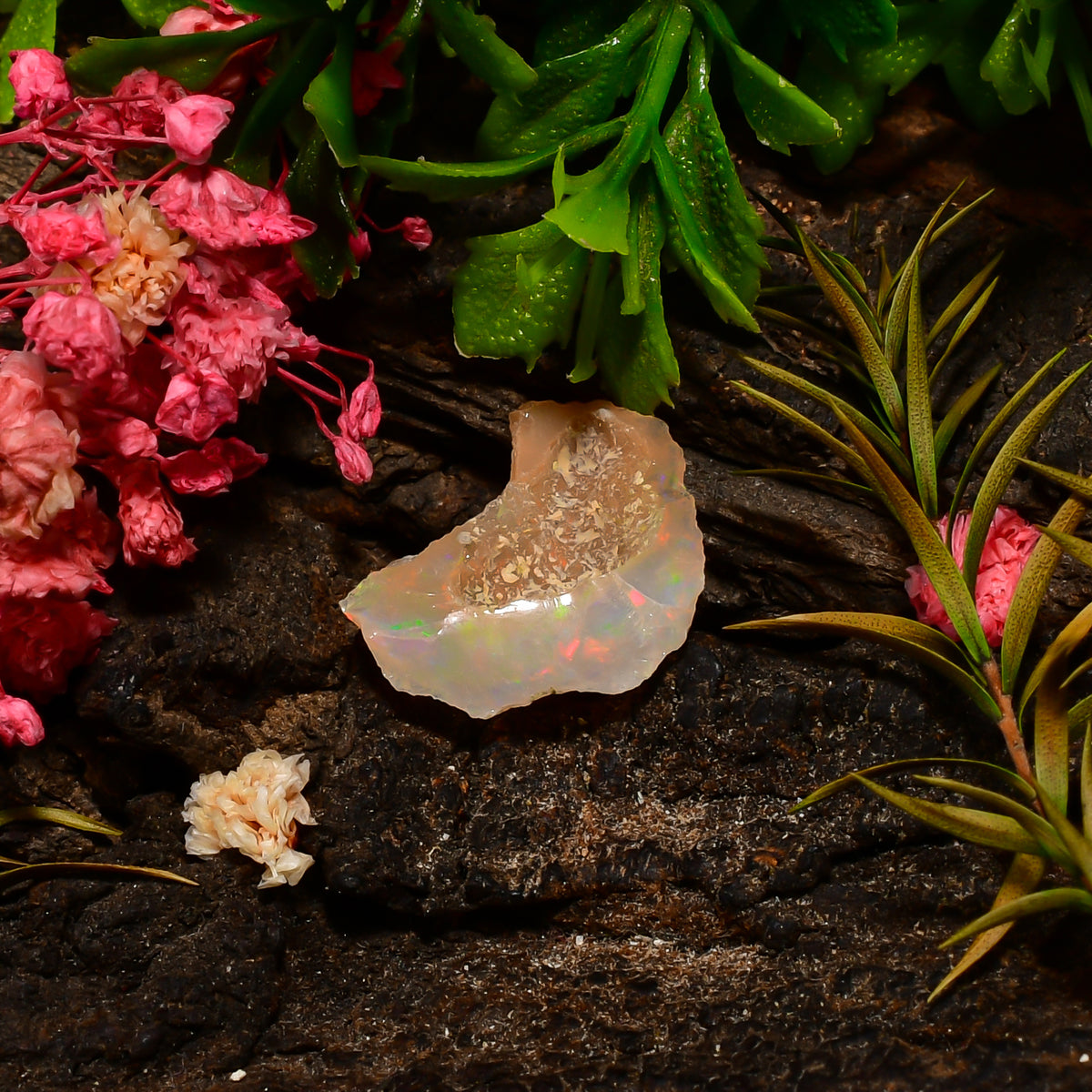 Supreme Top Grade Quality 100% Natural Welo Fire Ethiopian Opal Fancy Rough Loose Gemstone For Making Jewelry 19X15X6 MM 03.50 Cts. KR25-71 Sunkarton