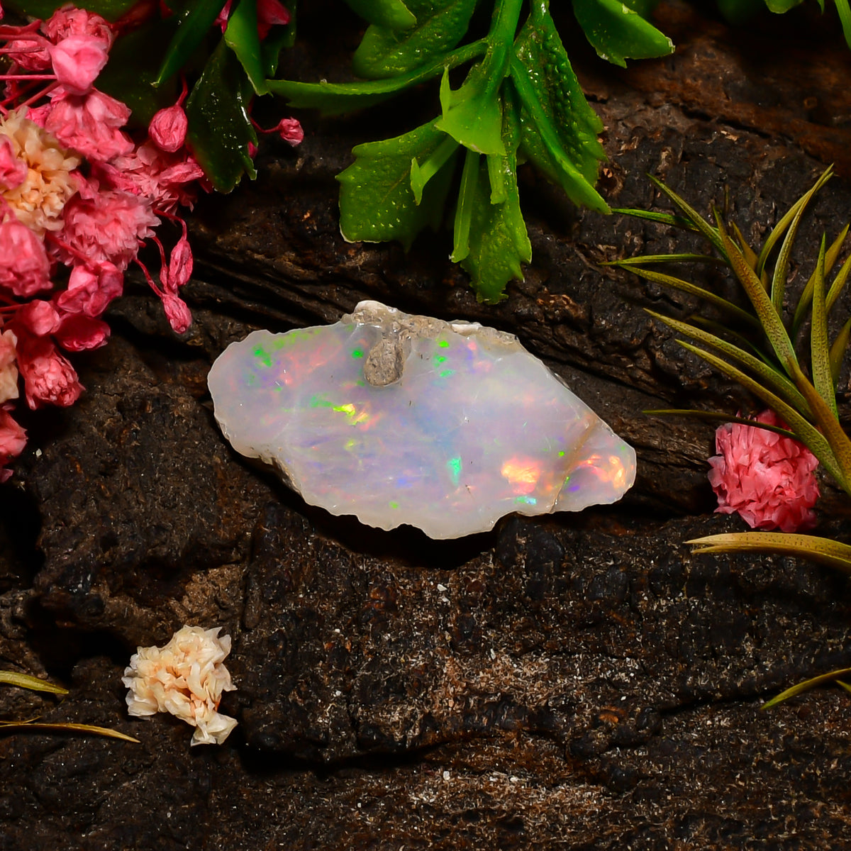 Tempting Top Grade Quality 100% Natural Welo Fire Ethiopian Opal Fancy Rough Loose Gemstone For Making Jewelry 25X13X7 MM 06.50 Cts. KR25-72 Sunkarton