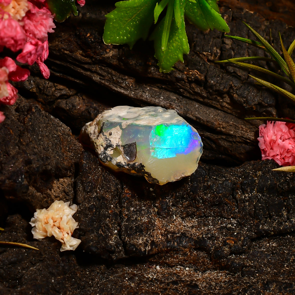 Terrific Top Grade Quality 100% Natural Welo Fire Ethiopian Opal Fancy Rough Loose Gemstone For Making Jewelry 19X12X9 MM 07.00 Cts. KR25-73 Sunkarton
