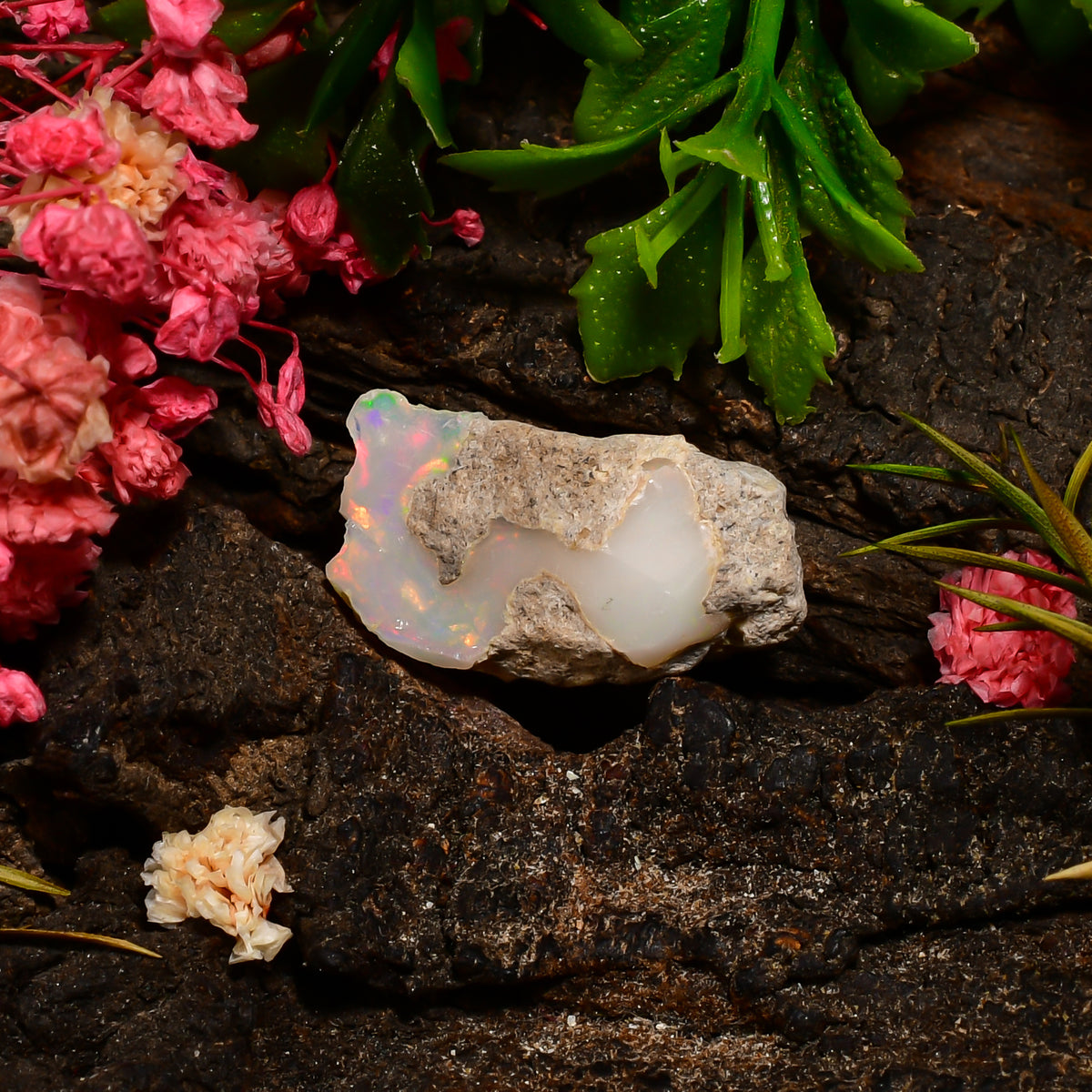 Attractive Top Grade Quality 100% Natural Welo Fire Ethiopian Opal Rough Loose Gemstone For Making Jewelry 21X12X9 MM 08.50 Cts. KR25-77 Sunkarton