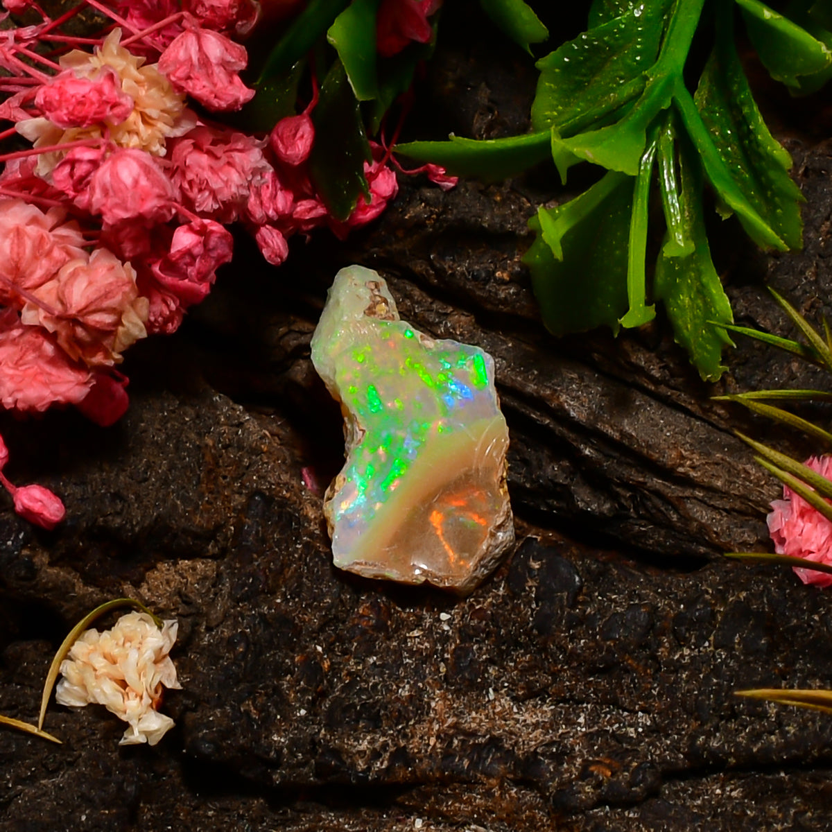 Excellent Top Grade Quality 100% Natural Welo Fire Ethiopian Opal Fancy Rough Loose Gemstone For Making Jewelry 19X9X5 MM 03.00 Cts. KR25-82 Sunkarton