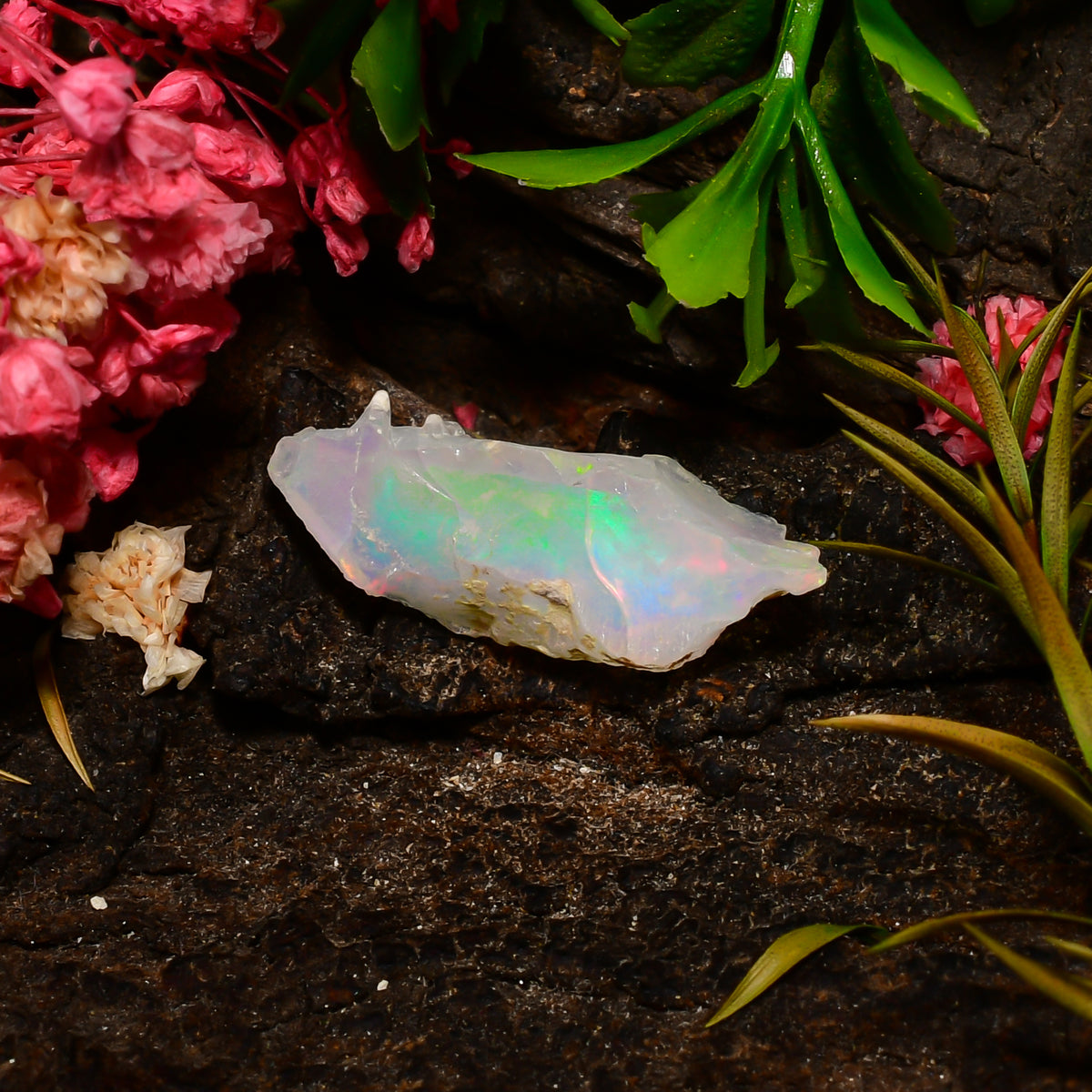 Superb Top Grade Quality 100% Natural Welo Fire Ethiopian Opal Fancy Rough Loose Gemstone For Making Jewelry 23X9X7 MM 04.50 Cts. KR25-94 Sunkarton