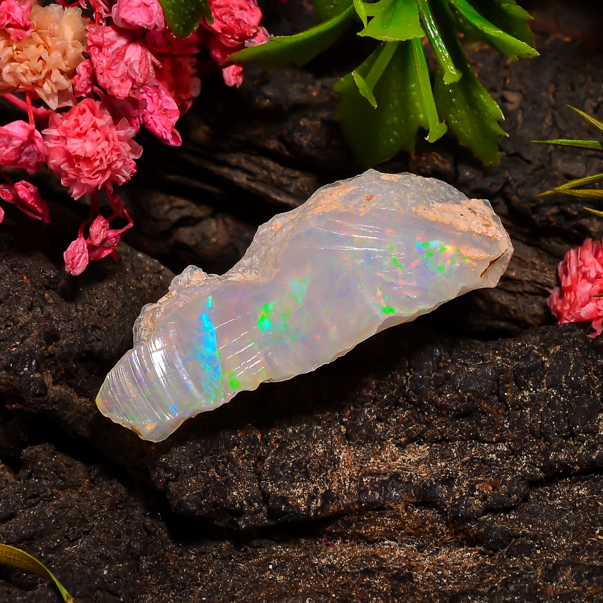 Elegant Top Grade Quality 100% Natural Welo Fire Ethiopian Opal Fancy Rough Loose Gemstone For Making Jewelry 30X15X10 MM 12.50 Cts. KR25-9 Sunkarton